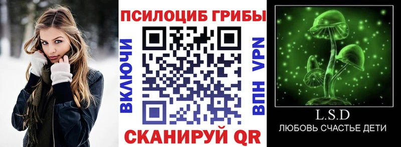 Купить Усмань Галлюциногенные грибы Psilocybine cubensis